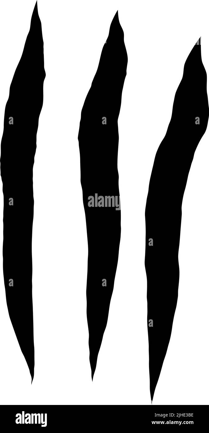 Graffi Cat. Artigli neri graffio animale, carta strappata. Tracce di artigli Cat. Illustrazione vettoriale su sfondo nero. Illustrazione Vettoriale