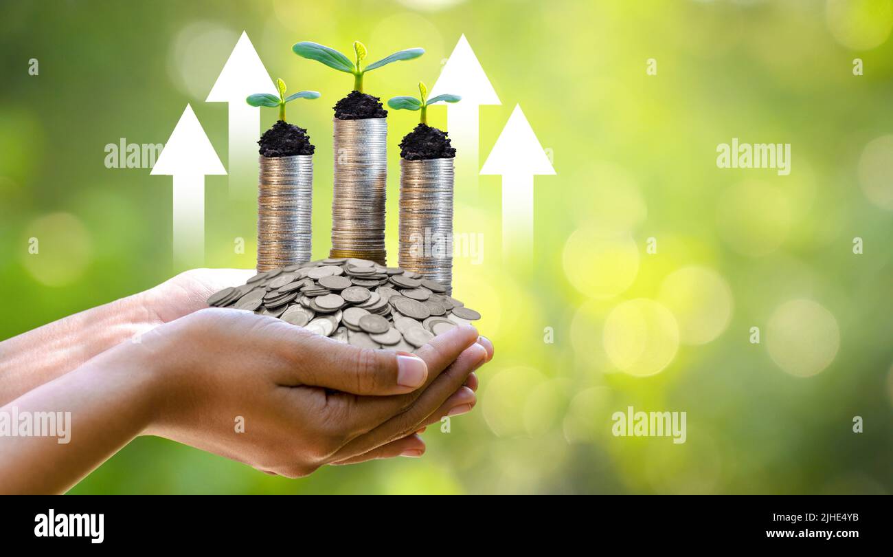 Growing graph finance la crescita del business finance la gradazione da bassa ad alta Foto Stock