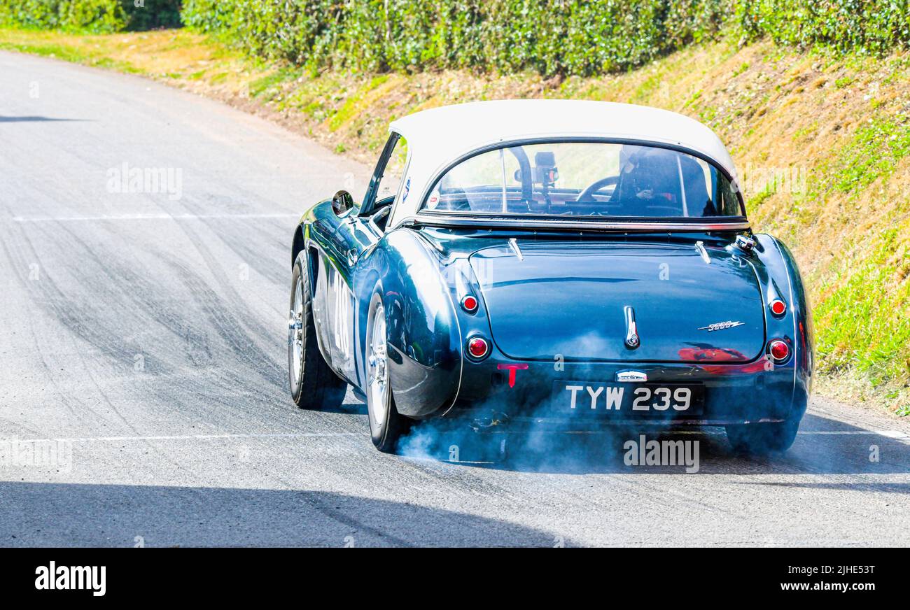 Austin Healey arrampicata sulla collina a Shelsey Walsh, gara di arrampicata in collina Foto Stock