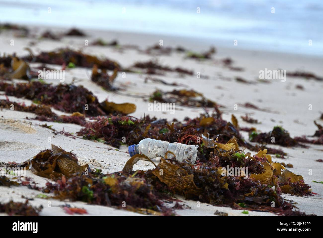 Una bottiglia di plastica singola che si stesa sulla spiaggia Foto Stock