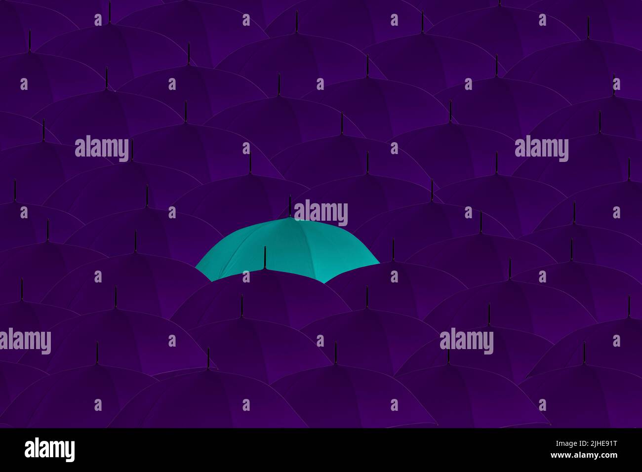 distinguiti dalla folla strana una fuori concetto folla di ombrelloni viola un ombrello blu che si distingue Foto Stock