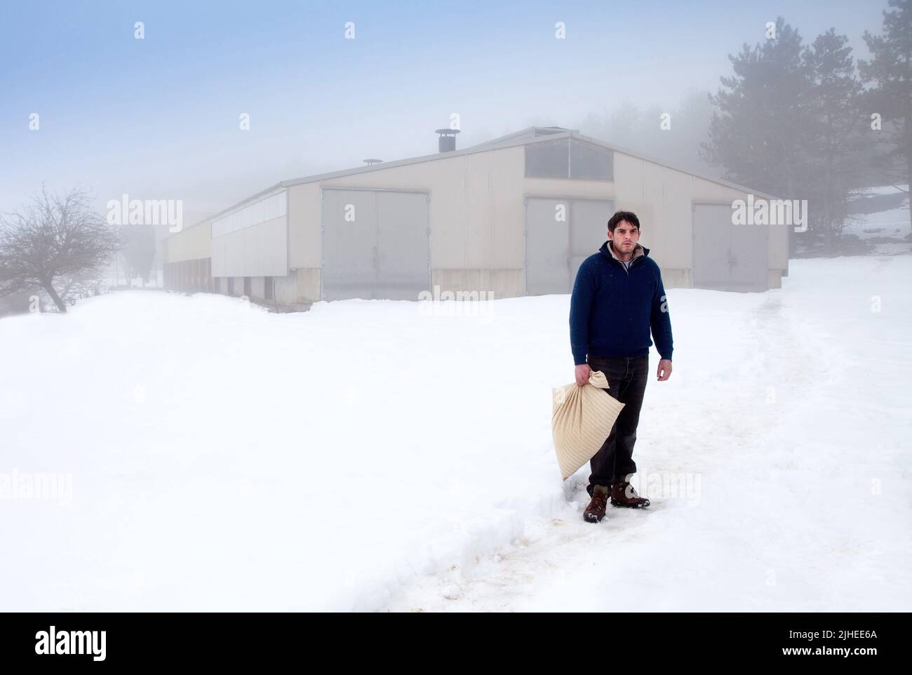 Seules les betes Year : 2019 France / Germany Director : Dominik Moll Damien Bonnard Foto Stock