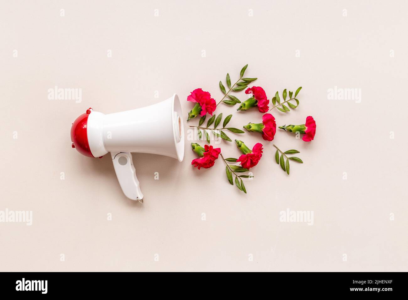 Idea pubblicitaria - megafote con fiori e foglie volanti. Buone notizie concetto Foto Stock