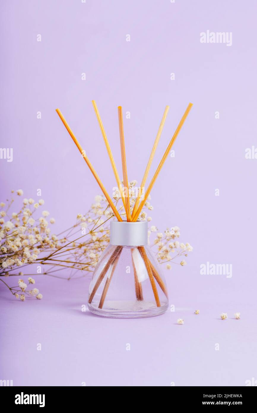 Bottiglia di vetro di diffusore reed e gypsophila fiore su sfondo lilla. Primo piano. Foto Stock