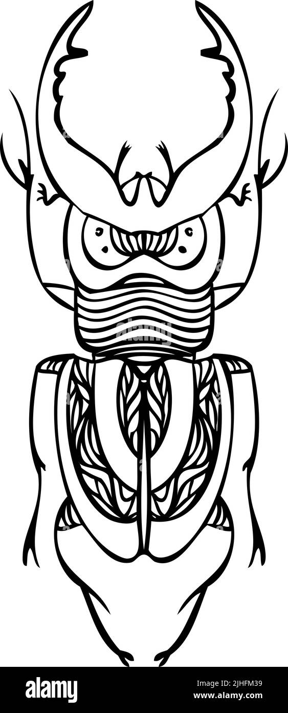 Illustrazioni vettoriali di linea di Beetle. Stile disegno a mano Illustrazione Vettoriale