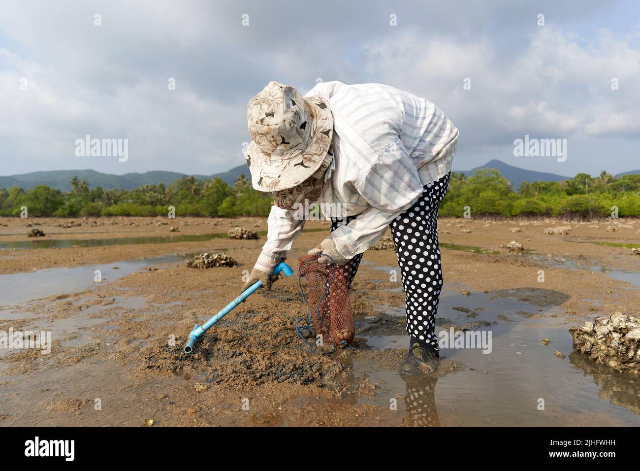 Ko Phangan, Thailandia, 15 marzo 2022: Donna anziana alla ricerca di vongole con un rastrello Foto Stock