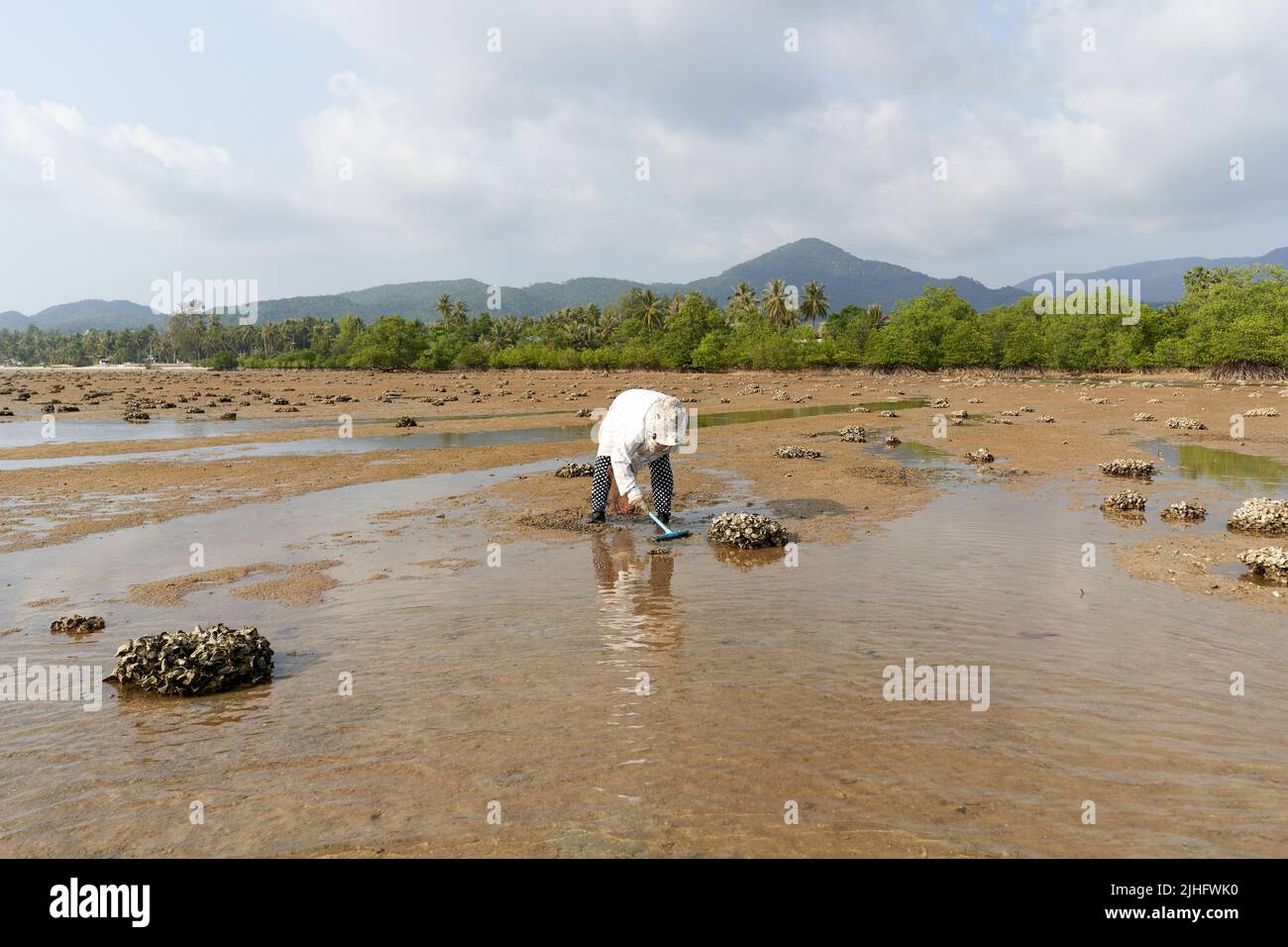 Ko Phangan, Thailandia, 15 marzo 2022: Donna scavando sulla sabbia per raccogliere le vongole Foto Stock