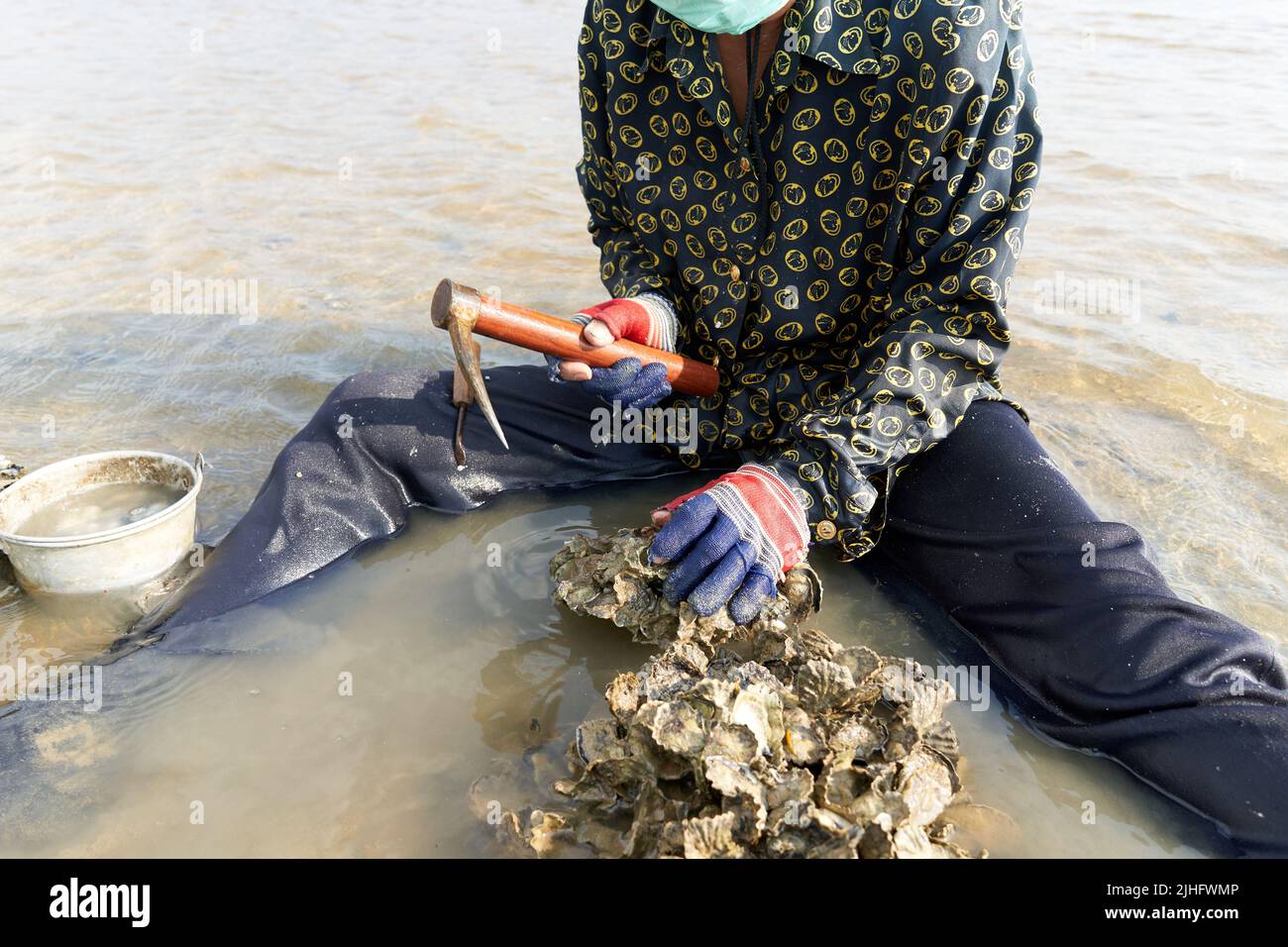 Ko Phangan, Thailandia, 15 marzo 2022: La donna usa uno strumento per afferrare le vongole dal mare Foto Stock