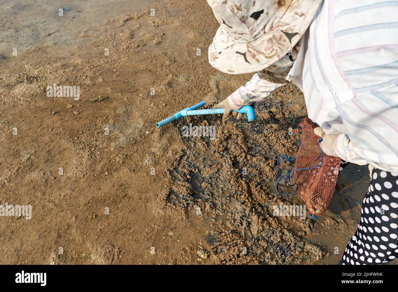 Ko Phangan, Thailandia, 15 marzo 2022: Donna scavando nella sabbia per vongole Foto Stock