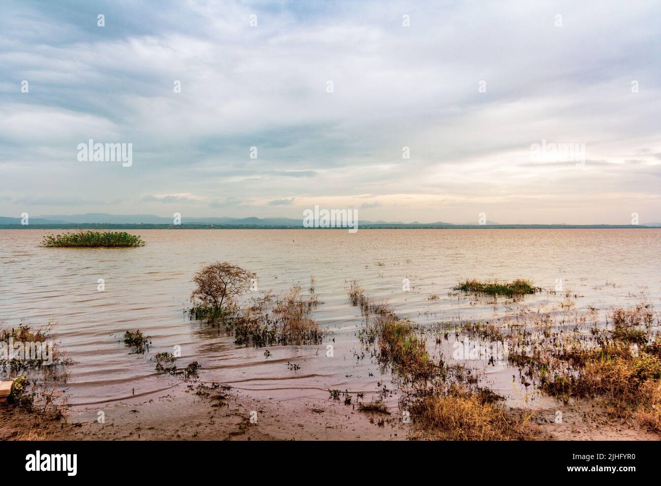Una bella vista del lago marshy all'alba, India Foto Stock