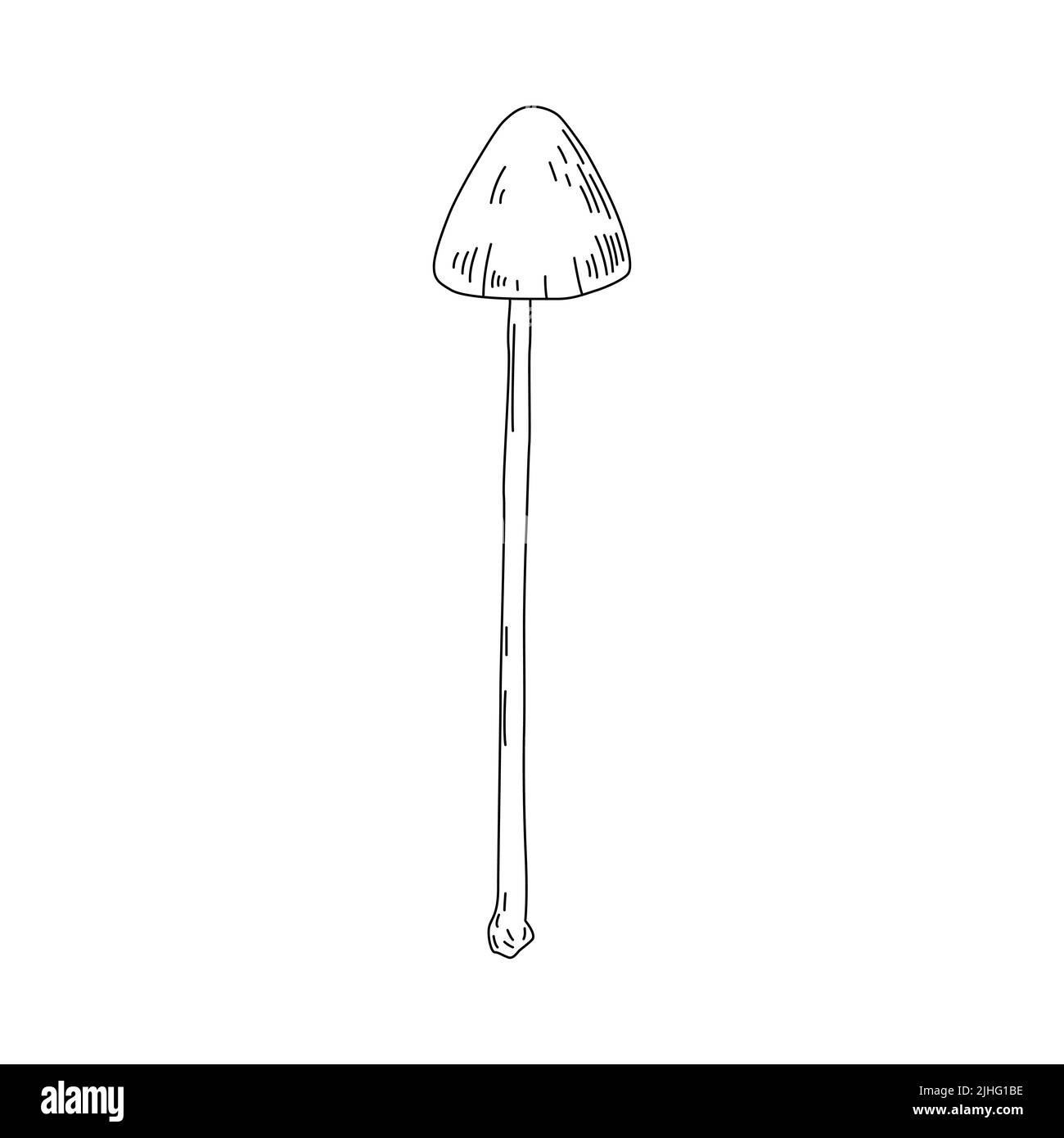 Logo raffigurante funghi. Tatuaggio funghi linea molto dettagliata art. Clip art bianco e nero su sfondo bianco. Incisione antica d'epoca Illustrazione Vettoriale