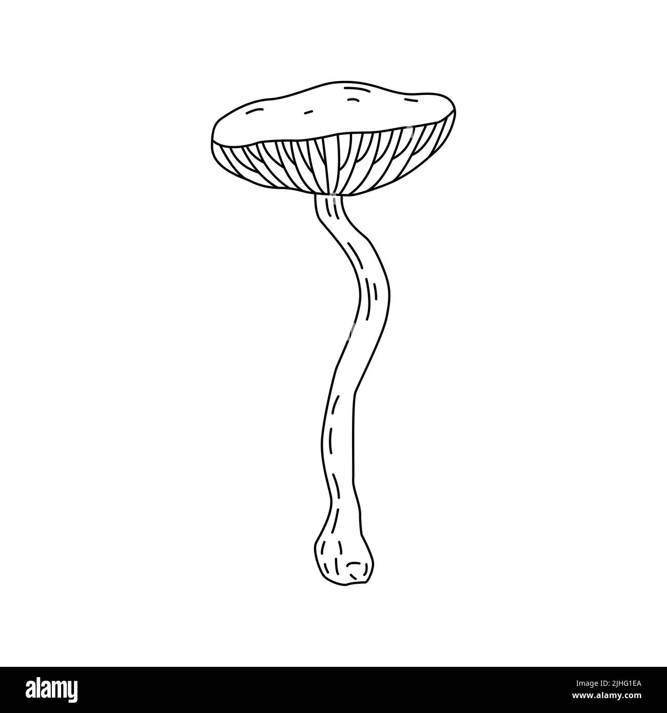 Logo raffigurante funghi. Tatuaggio funghi linea molto dettagliata art. Clip art bianco e nero su sfondo bianco. Incisione antica d'epoca Illustrazione Vettoriale