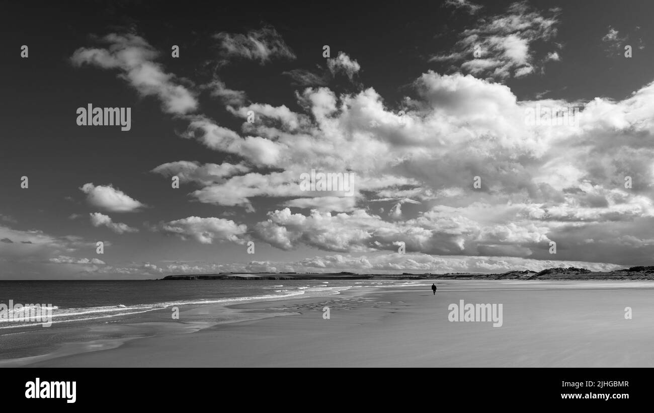 Un camminatore solista sotto un cielo drammatico su Lunanbay Beach Angus Scozia Foto Stock