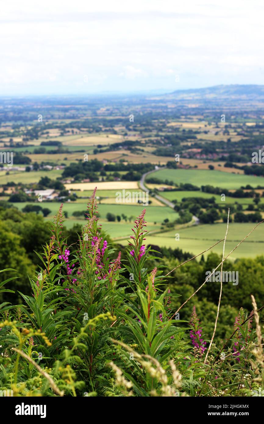 Il paesaggio ondulato delle colline di Malvern vicino al campo britannico Foto Stock