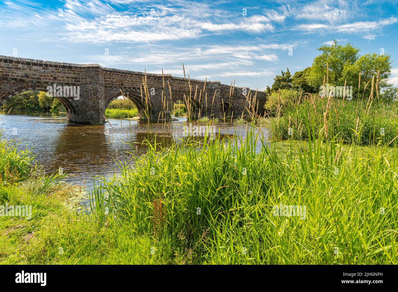 White Mill Bridge è un ponte normanno realizzato con arenaria rossa e pietra calcarea bianca che attraversa il fiume stour con alghe verdi in una giornata di sole. Foto Stock