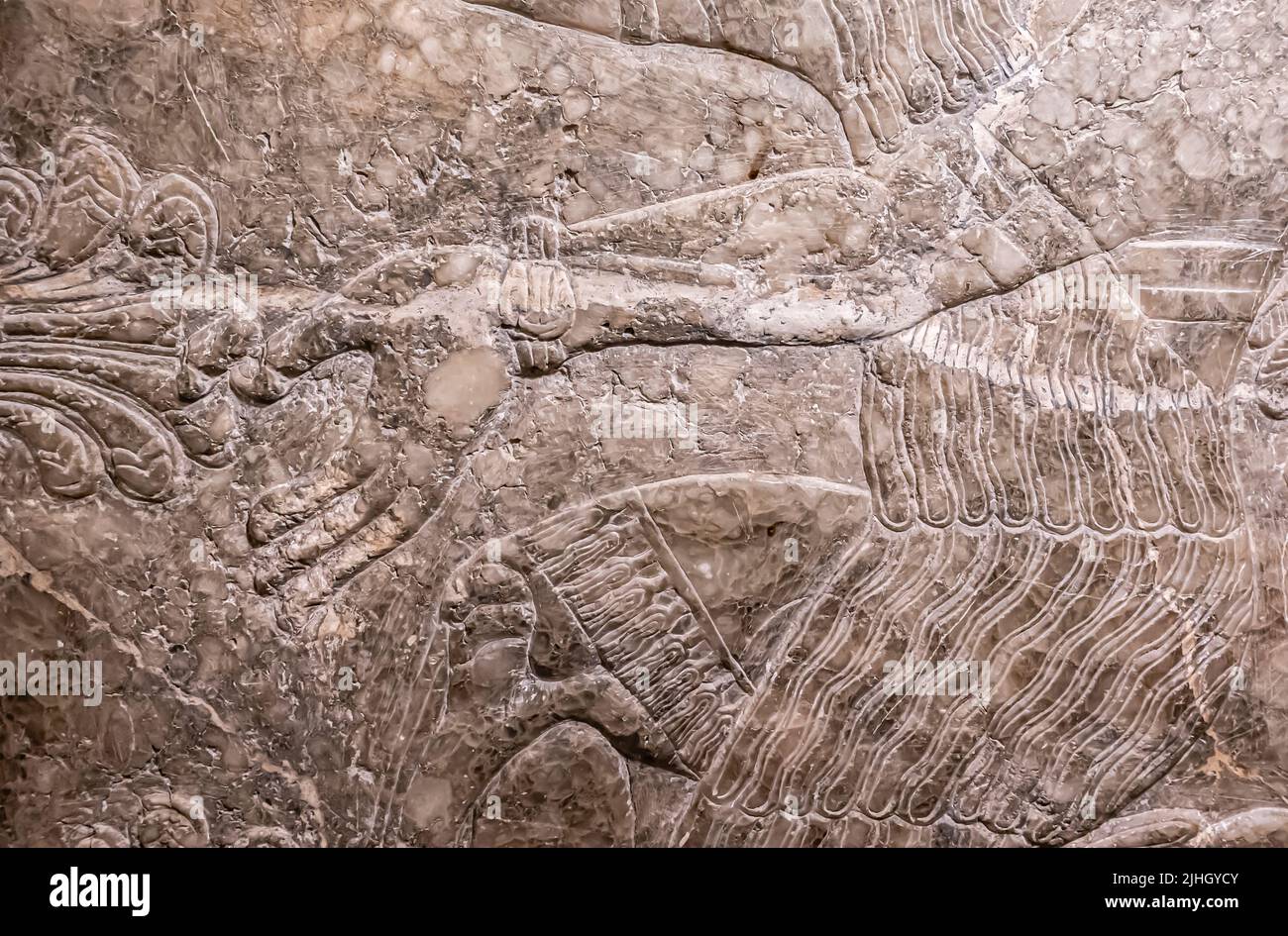 Divinità alate dall'albero sacro - dettaglio. Rilievo dal palazzo di Ashurnasirpal II a Kalhu, (Nimrud) - Alabastro - IX secolo a.C. Museo dell'Hermitage Foto Stock