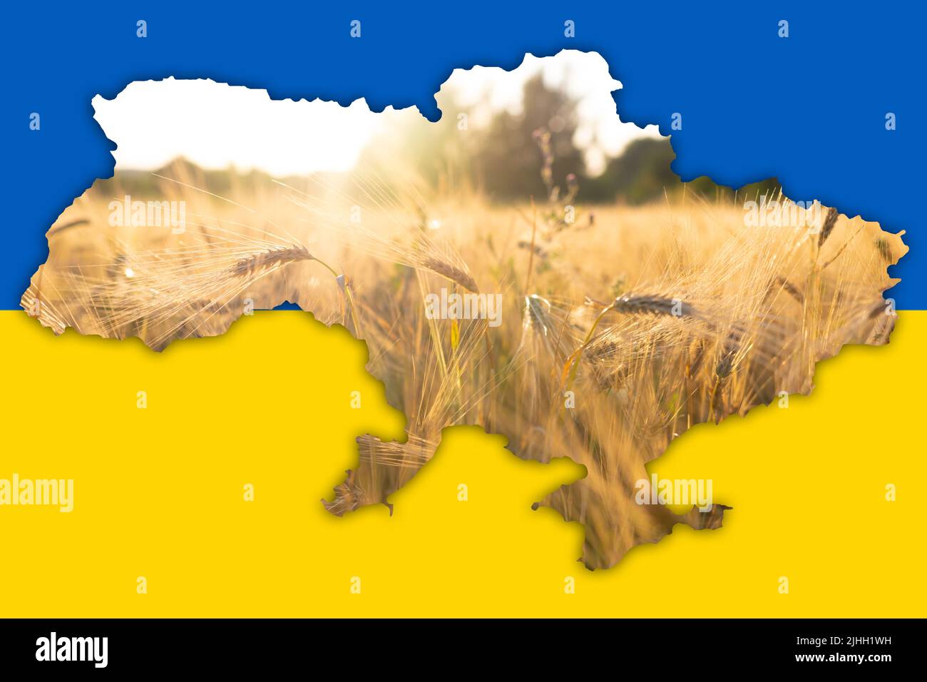 Politica e guerra in Ucraina 2022. Problema di esportazione di grano da Ucraina Foto Stock