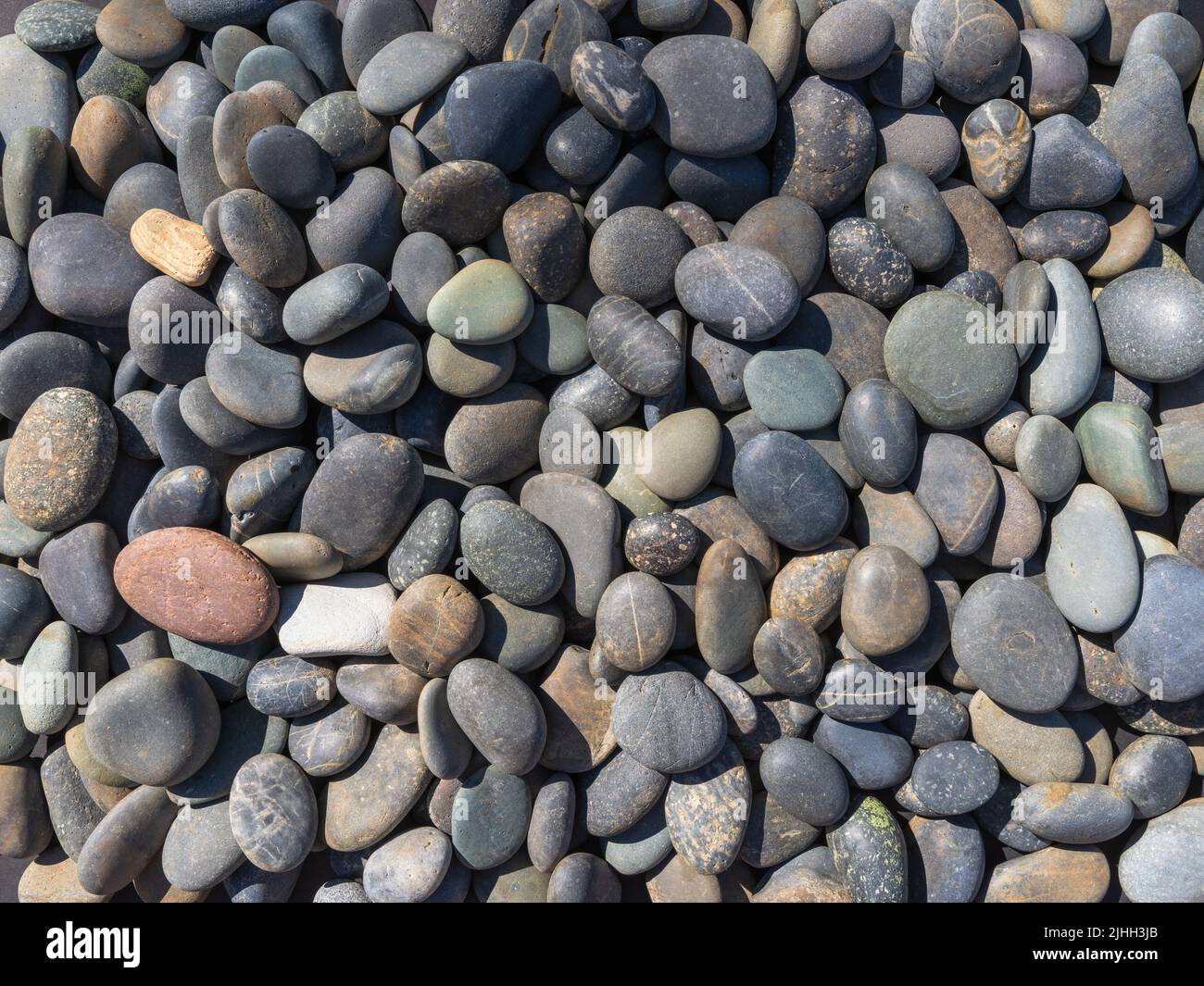 Medio primo piano di pietre di fiume indossate lisce su un fondo di fiume. Foto Stock