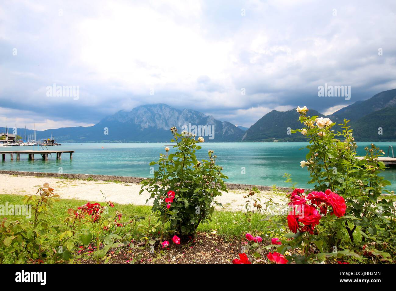 Attersee - famoso lago turchese austriaco. La vista sui cespugli di rose, il molo e le montagne sullo sfondo. Cielo nuvoloso. Foto Stock