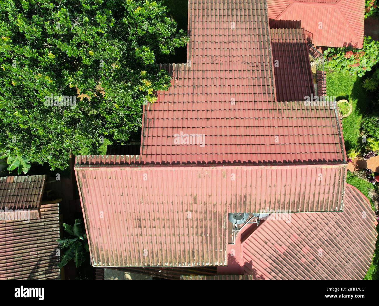 Tetto casa in argilla rossa con funghi verdi macchie aeree drone vista dall'alto Foto Stock