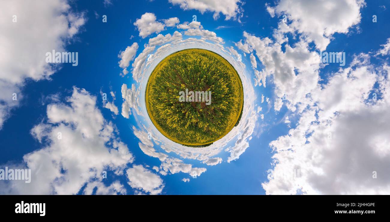 piccola proiezione planetaria di 360 gradi panorama sferico del giorno estivo fiore colza giallo rapseed campo Foto Stock