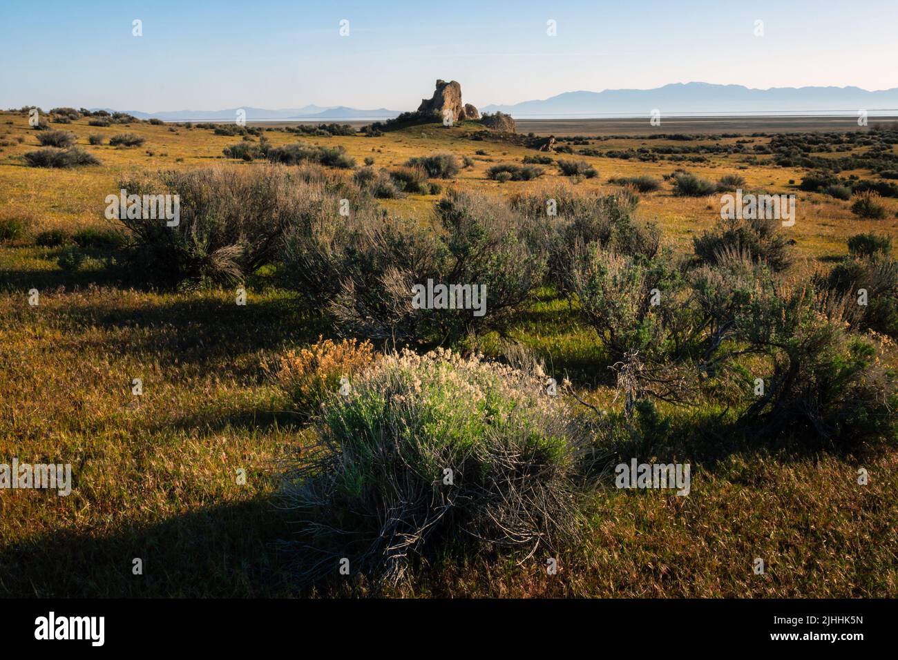 Tranquillo paesaggio e natura vicino al Great Salt Lake nel nord dello Utah Foto Stock