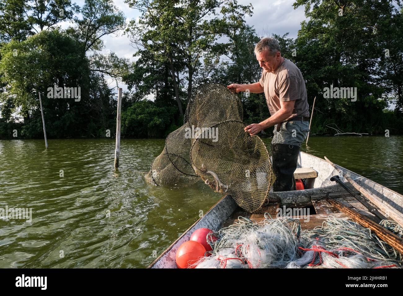 Werder An Der Havel, Germania. 13th luglio 2022. Fisherman Lars Dettmann svuota le trappole di pesce sul Havel e le solleva nella chiatta da pesca. Attualmente, la cattura è piuttosto bassa a causa dell'acqua calda. Tuttavia, le scorte sono aumentate in modo incoraggiante negli ultimi anni. Le temperature dell'acqua più elevate in media e la crescita più forte delle erbacce riposte nelle acque a causa del miglioramento della qualità dell'acqua hanno contribuito a questo. I 'creepers' sono una buona copertura da nascondere ai numerosi cormorani. Credit: Jens Kalaene/dpa/Alamy Live News Foto Stock