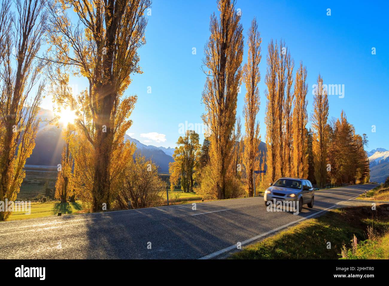Una fila di alberi di pioppo autunnali accanto ad una strada rurale a nord di Glenorchy nella regione di Otago, Nuova Zelanda Foto Stock
