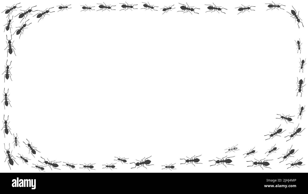 Sentiero di formiche. Una cornice rettangolare di insetti. Vettore Illustrazione Vettoriale