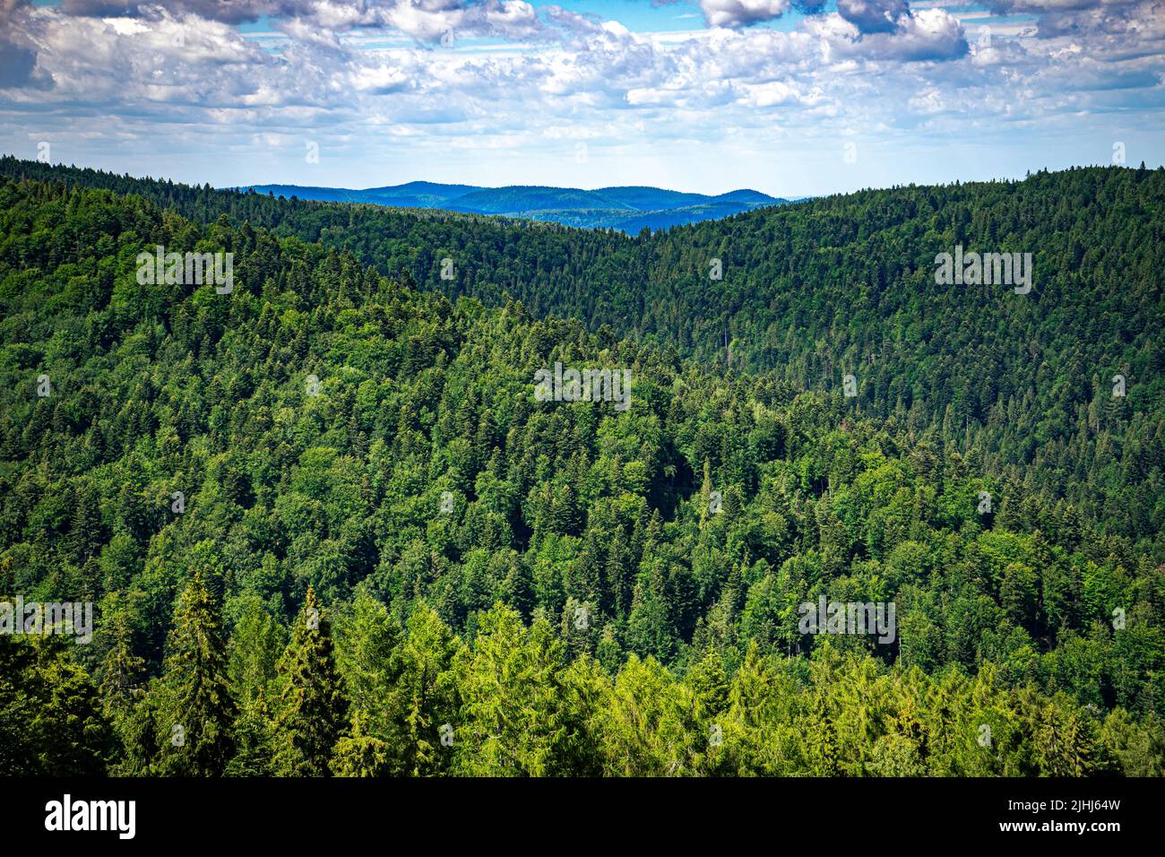 Bassa gamma di montagna Beskids. Cielo nuvoloso blu sulle montagne e una fitta foresta. Foto Stock