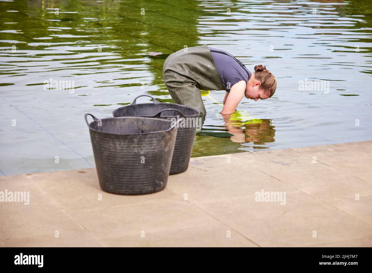 RHS Bridgewater a Worsley, Salford. Il Paradise Garden Water Feature Foto Stock