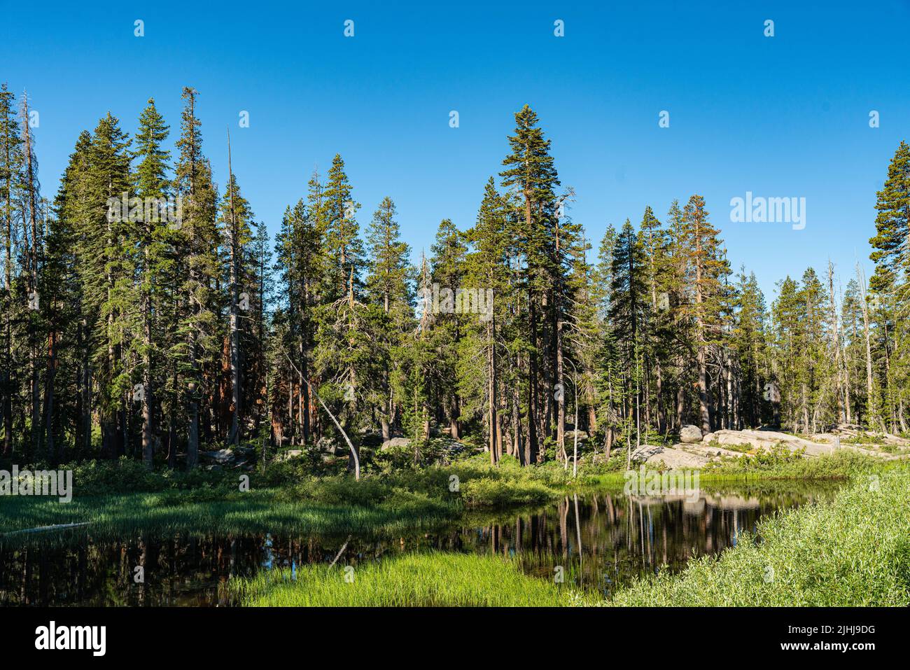 Lago di montagna vicino al vertice di Donner nelle montagne della Sierra Nevada della California settentrionale. Foto Stock