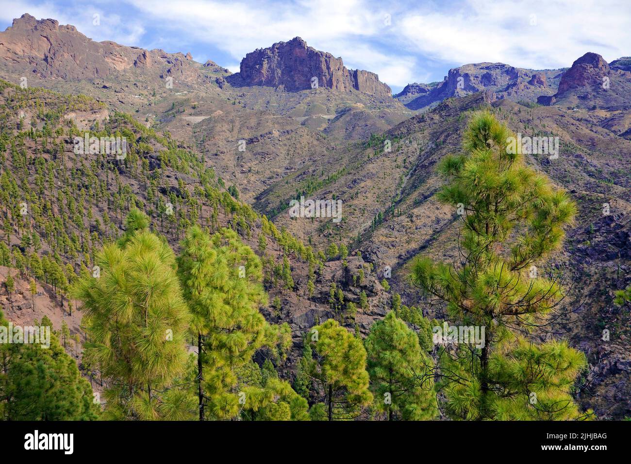 Paesaggi di montagna sulla strada GC-605, nell'entroterra del Grand Canary, Isole Canarie, Spagna, Europa Foto Stock