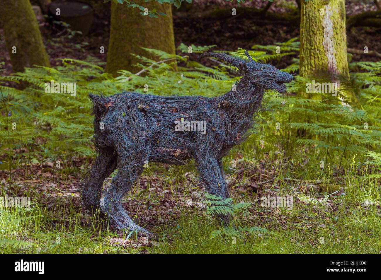 'Searcher' una scultura di Sophie Ryder nella Foresta di Dean, Gloucestershire Foto Stock