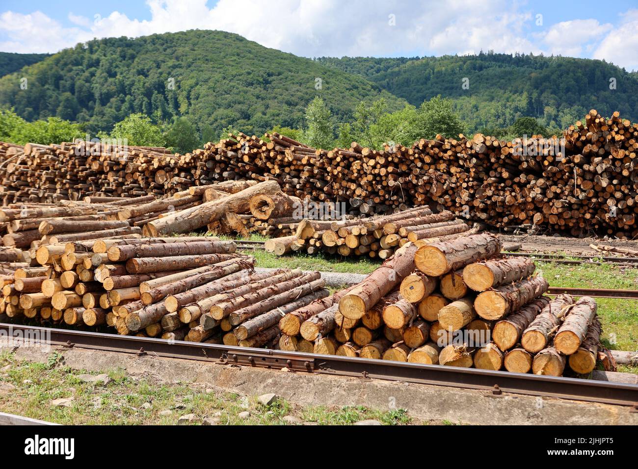 REGIONE DI IVANO-FRANKIVSK, UCRAINA - 16 LUGLIO 2022 - un magazzino di legname della Vyhoda Forestry state Enterprise è raffigurato nella regione di Ivano-Frankivsk, w Foto Stock