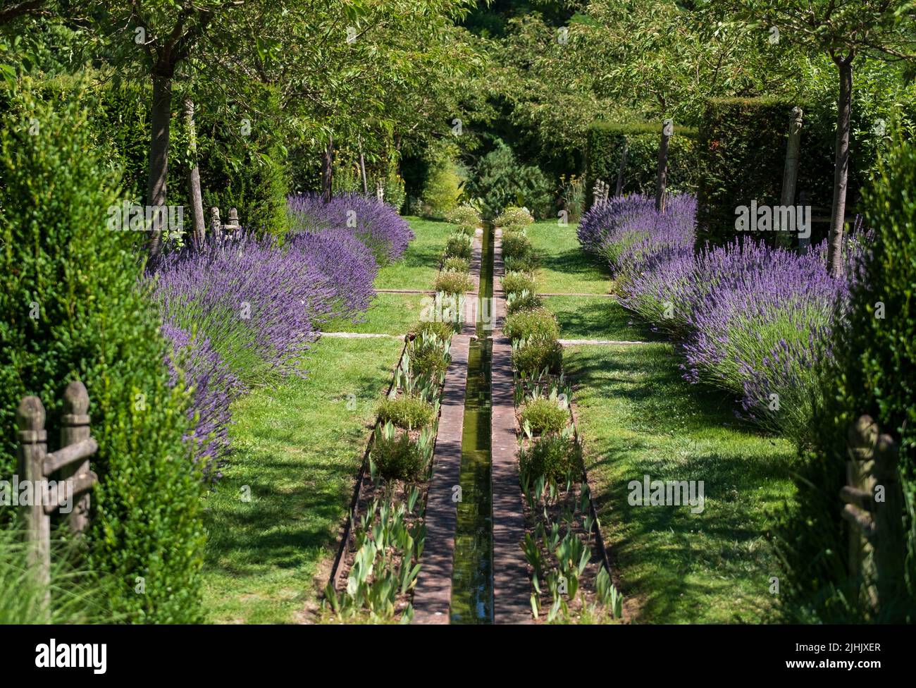 Giardino paesaggistico con lavanda e acqua corrente a Jardin Domaine de Poulaines nella Valle della Loira, Francia. Foto Stock