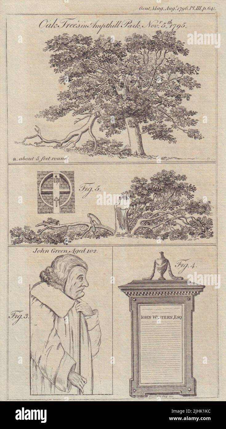 Vecchi alberi di quercia Ampthill Park, Letti. Ritratto di John Green of Wexford, Irlanda 1796 Foto Stock