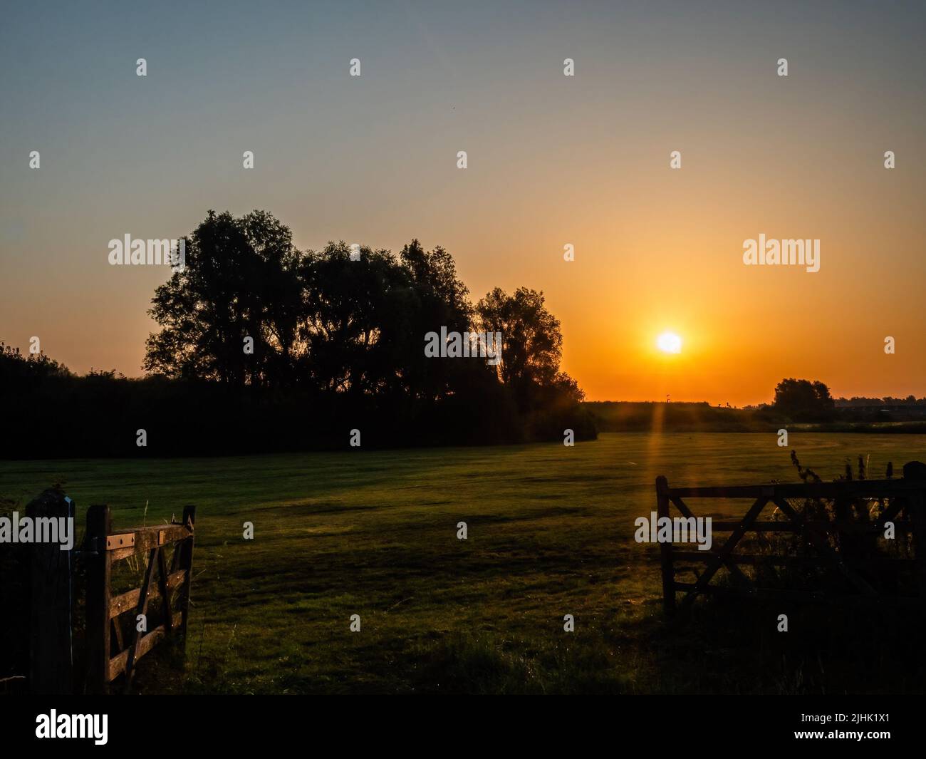 Il sole si vede arrivare durante una giornata molto calda. I Paesi Bassi hanno introdotto un allarme meteorologico arancione a causa dell'ondata di caldo che ha colpito gran parte dell'Europa meridionale. La temperatura nei Paesi Bassi dovrebbe raggiungere i 38-39 gradi Celsius. Durante l'ondata di caldo nei Paesi Bassi, la campagna acquista il suo massimo splendore, ricco di colori incredibili, ocra bella, e tonalità dorate, quando il sole colpisce i campi di mais, e gli alberi. Foto Stock