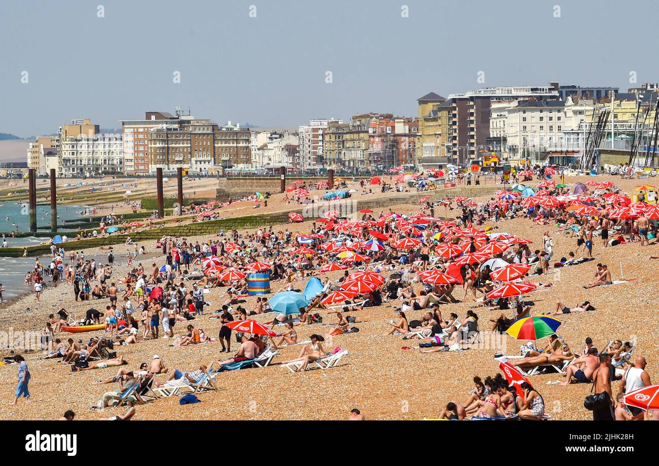 Brighton UK 19th luglio 2022 - i bagnanti godono il giorno più caldo dell'anno sulla spiaggia di Brighton come le temperature di oltre 40 gradi sono previste per le parti della Gran Bretagna oggi. Un avvertimento rosso severo di tempo è ancora sul posto ma le condizioni sono impostate per raffreddarsi nei prossimi giorni: Credit Simon Dack / Alamy Live News Foto Stock