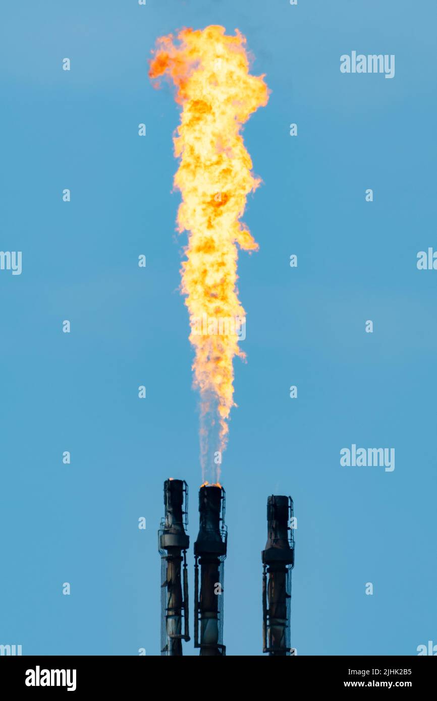 Gas di flare in raffineria di petrolio, catasta di flare che brucia il gas in eccesso. Fiamma di raffineria di petrolio, fiocchi, flaring, camino, inquinamento, prodotti petrolchimici, ciminiera. REGNO UNITO Foto Stock