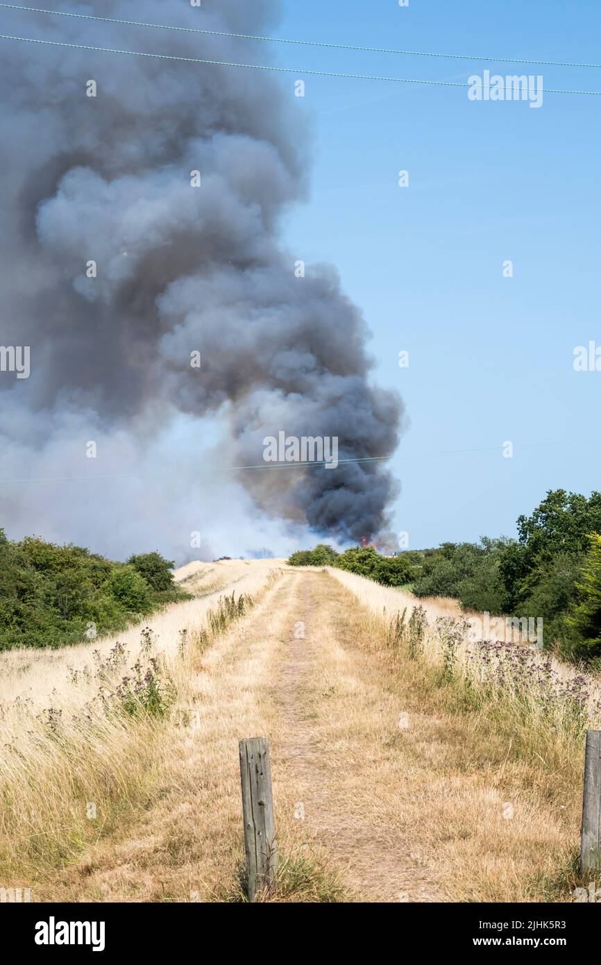 Martedì, 19 Luglio 2022. Fumo che si rilica da un fuoco di brughiera al bordo delle paludi di Ken Hill tra Snettisham & Heacham nel Norfolk occidentale. Foto Stock