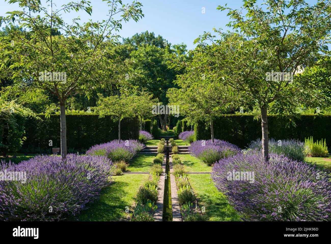 Giardino paesaggistico con lavanda e acqua corrente a Jardin Domaine de Poulaines nella Valle della Loira, Francia. Foto Stock