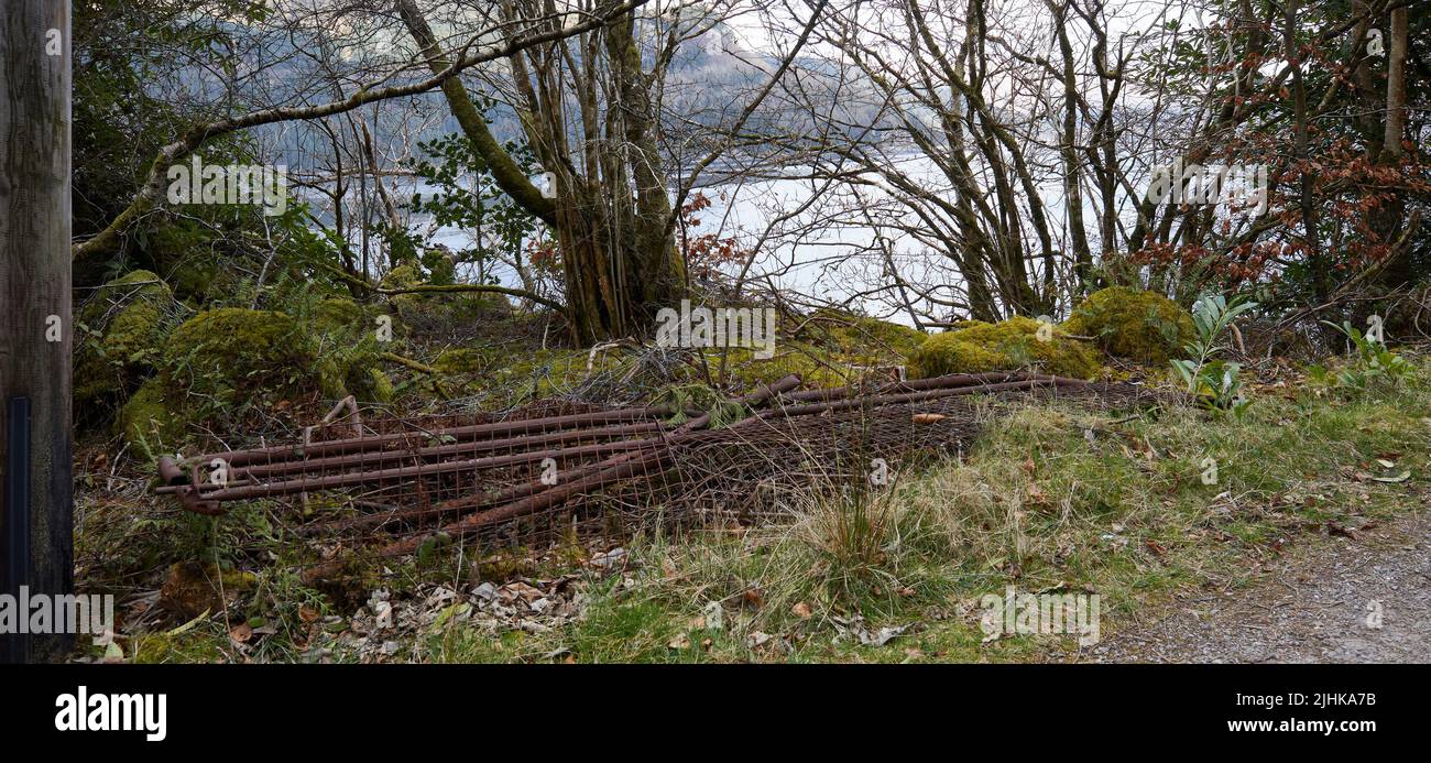 Vecchi pali di cancello e recinzioni gettate come rottami di ferro sulla strada al castello di Carrick, Lochgoilhead. Argyll e Bute. Scozia Foto Stock
