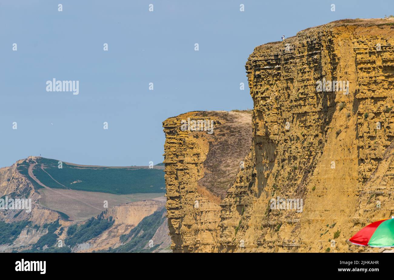 Dorset, Inghilterra, Regno Unito, 19th luglio 2022. Meteo Regno Unito: Onda di calore. Una brezza marina rende la temperatura sopportabile nel giorno più caldo dell'anno lungo la costa Jurassic. Un uomo cammina precariously vicino al bordo superiore della scogliera a Burton Freshwater Foto Stock