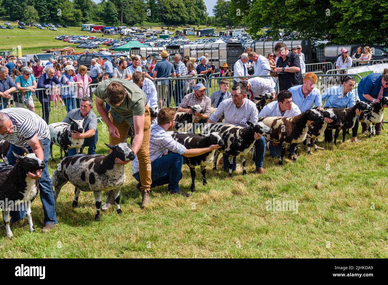 Gli agricoltori tengono la loro pecora jacobs per essere giudicati in una mostra agricola Foto Stock