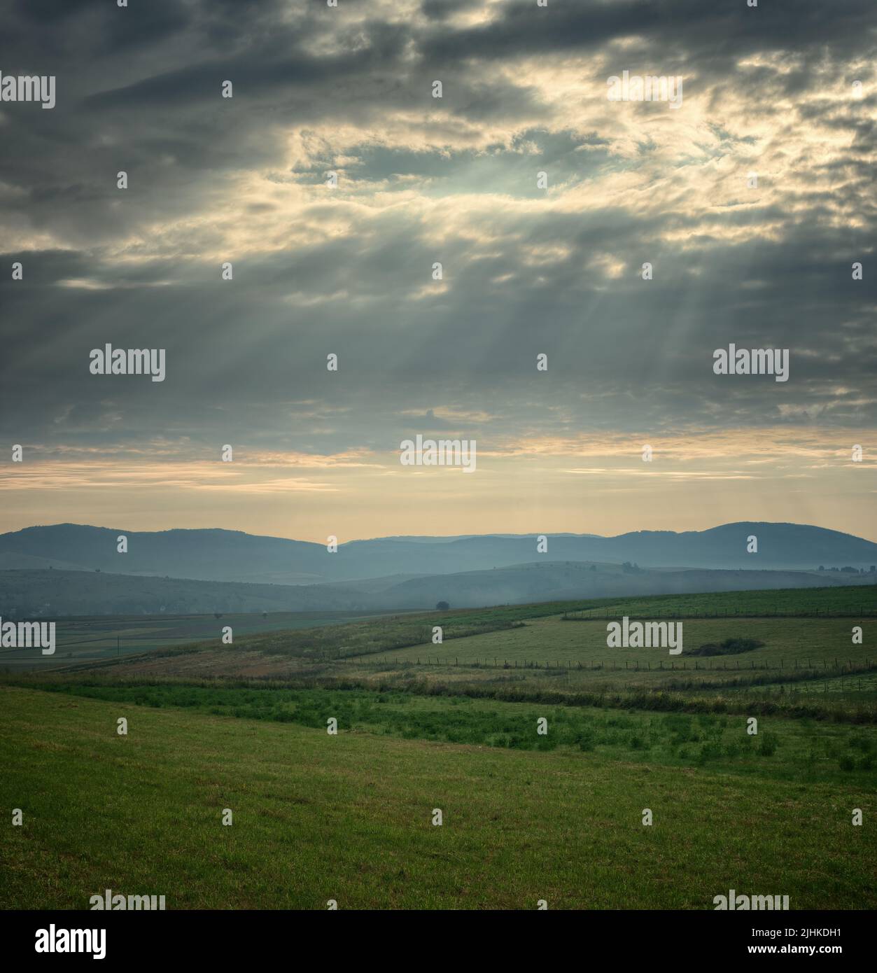 Paesaggio nuvoloso con raggi del sole su paesaggio rurale con albero solitario all'orizzonte in Serbia Foto Stock