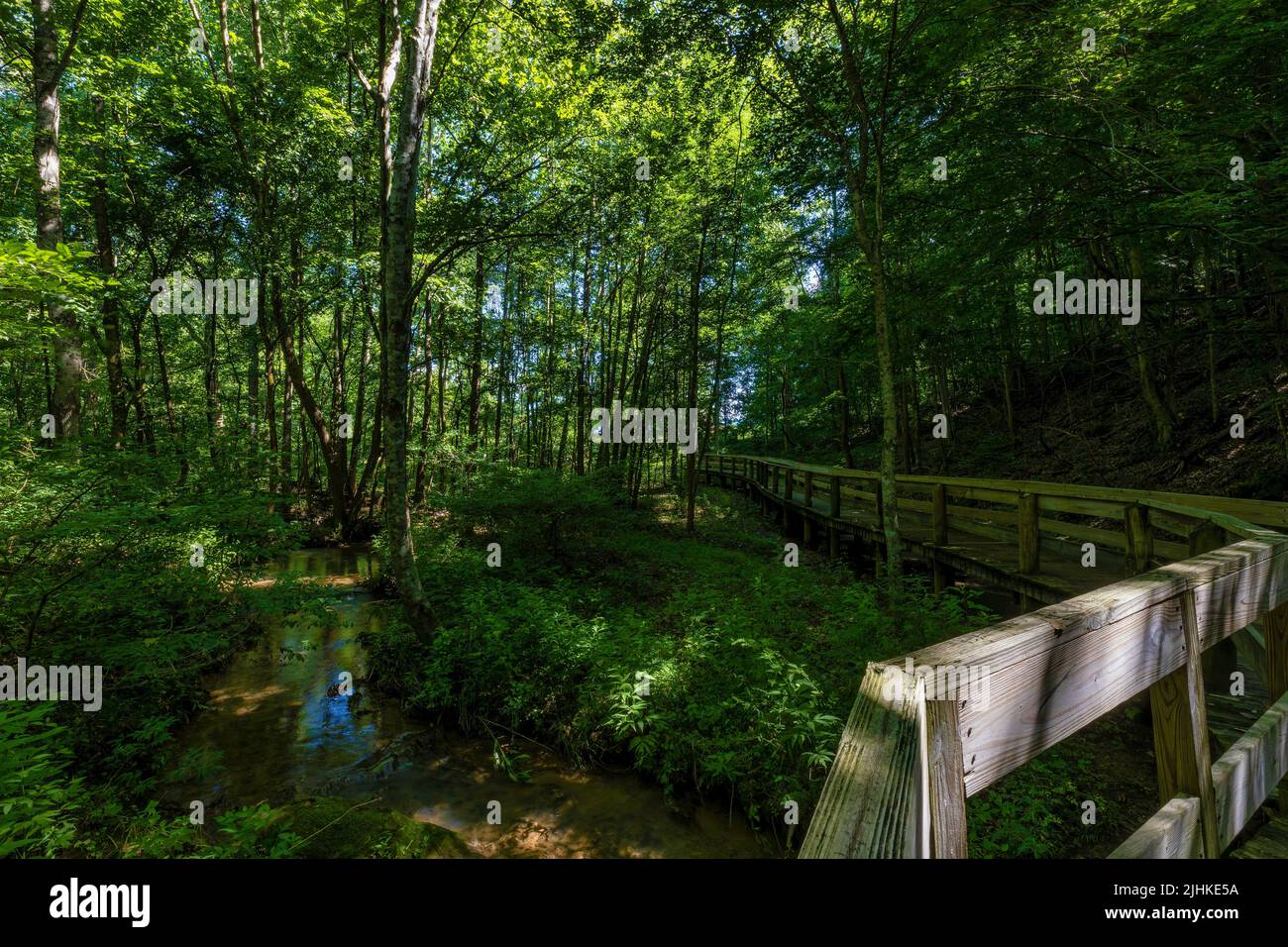 Percorsi escursionistici a Persimmon Ridge Park a Jonesborough, Tennessee, in una calda giornata estiva. Foto Stock