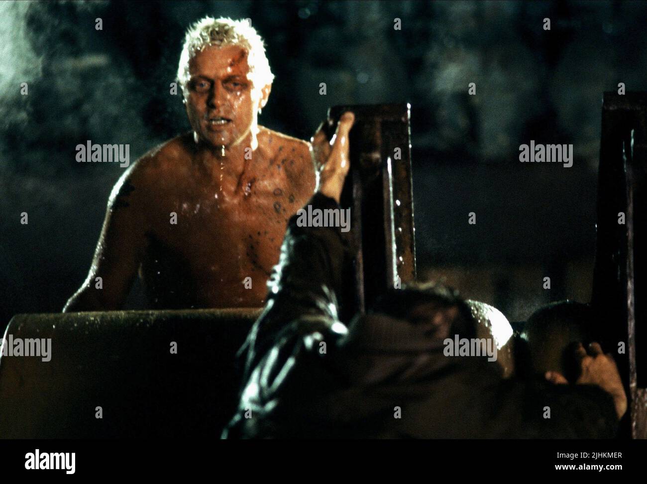 RUTGER HAUER, Harrison Ford, BLADE RUNNER, 1982 Foto Stock