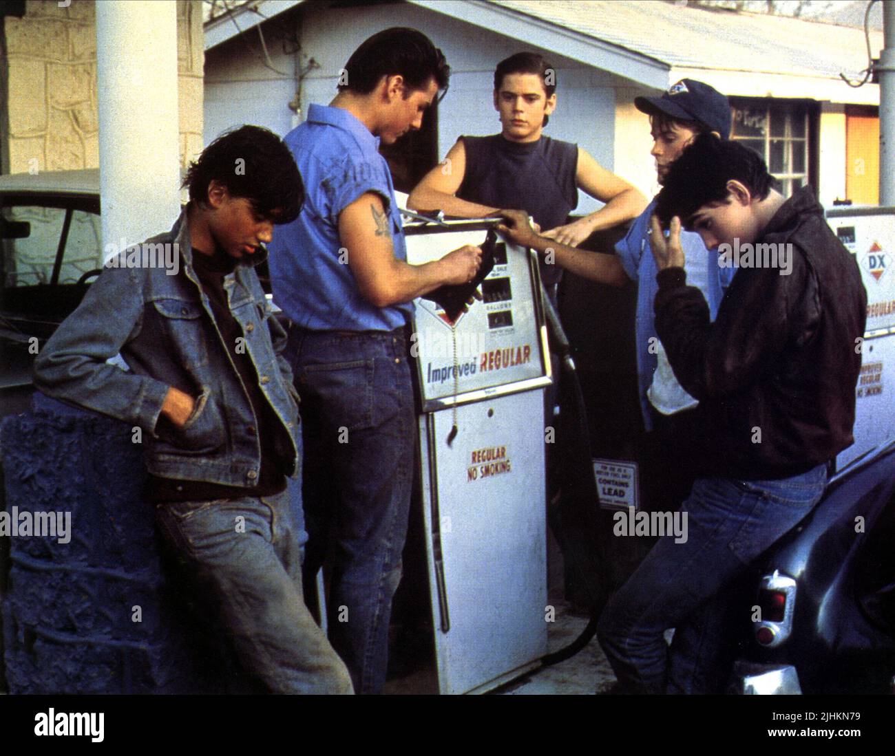 RALPH MACCHIO, Tom Cruise, C. THOMAS HOWELL, Rob Lowe, Matt Dillon, outsiders, 1983 Foto Stock