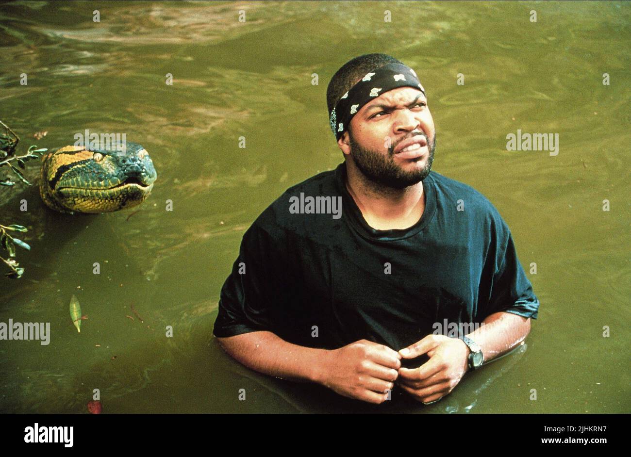 Serpente gigante, Ice Cube, Anaconda, 1997 Foto Stock